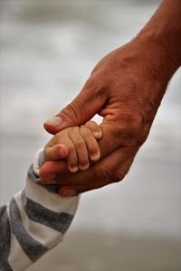 Close-up of father and son holding hands