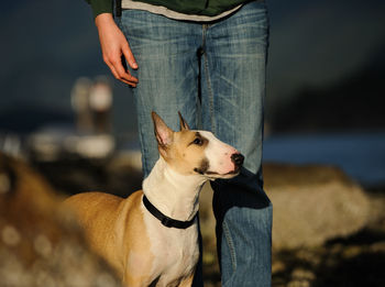 Midsection of man with dog standing outdoors