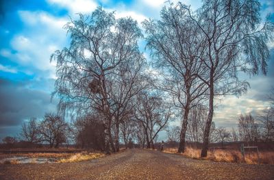 Bare trees on landscape against sky