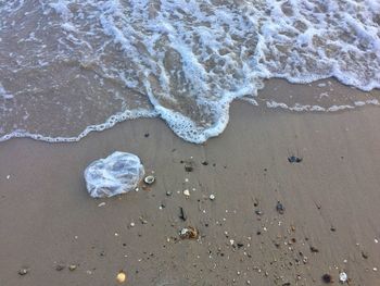 Scenic view of sea shore