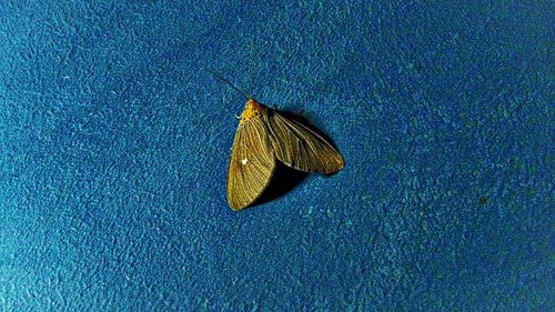 Close-up of car on road