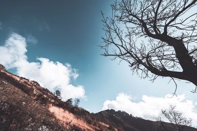 Low angle view of silhouette tree against sky