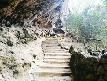 Staircase amidst trees against sky