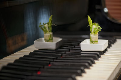Close-up of piano on table
