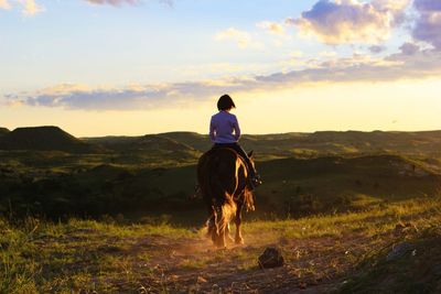 Rear view of man riding horse on field against sky