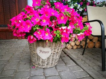 Pink flowers in basket on table