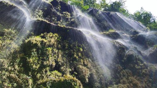 Low angle view of waterfall against trees