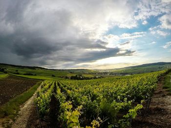 Scenic view of field against cloudy sky