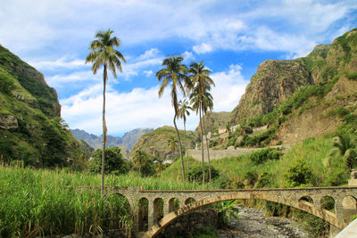 Scenic view of palm trees on mountain against sky