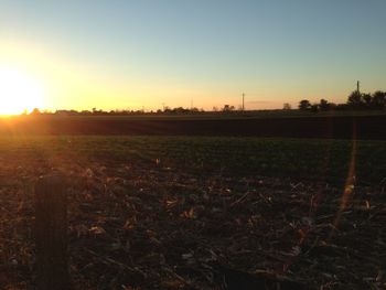 Scenic view of field against clear sky during sunset