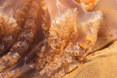 Full frame shot of ice cream