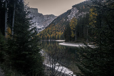 Scenic view of lake in forest against sky