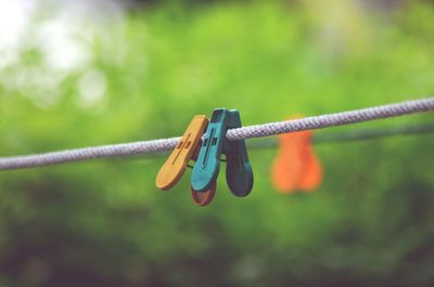 Close-up of clothesline hanging on rope