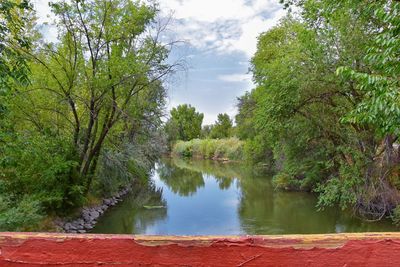 Scenic view of lake by trees against sky