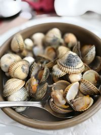 Close-up of seashells in bowl