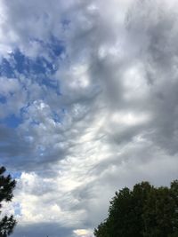 Low angle view of tree against cloudy sky