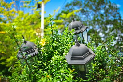 Electric lamp in yard