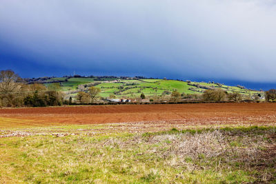 Scenic view of field against sky