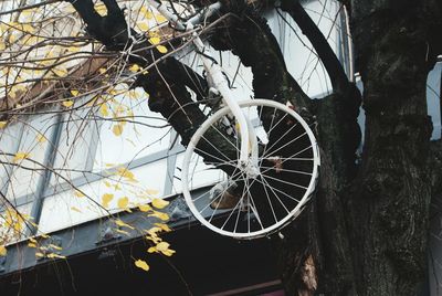 Close-up of abandoned bicycle wheel