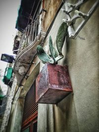 Low angle view of decoration hanging on building