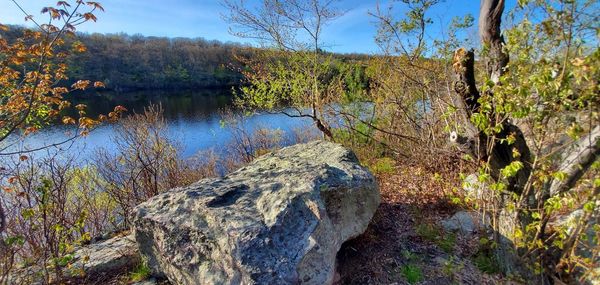 Scenic view of lake in forest against sky