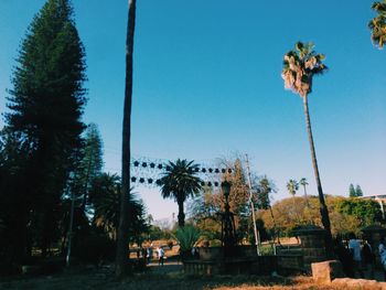 Trees on field against clear sky