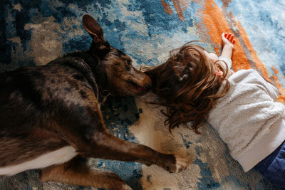 Upper view of child playing with dog on the carpet at home