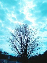 Low angle view of bare trees against sky