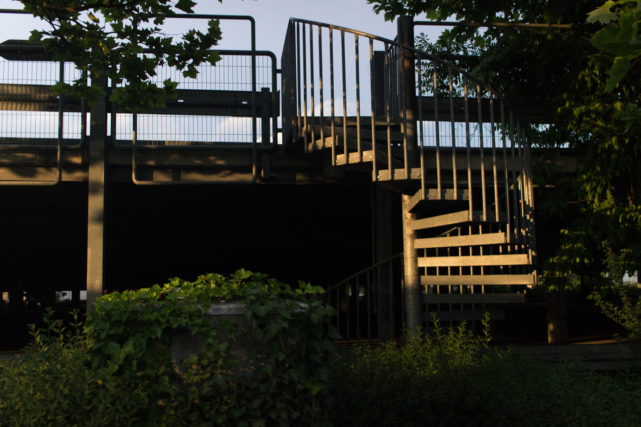 architecture, plant, tree, built structure, growth, no people, outdoors, day