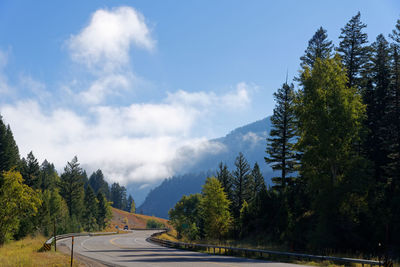 Road by trees against sky