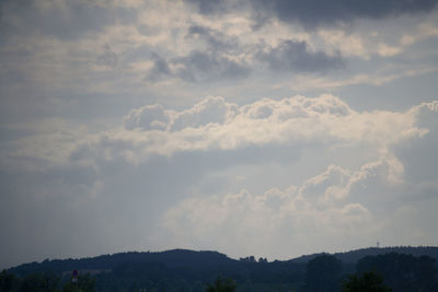 Low angle view of trees against sky