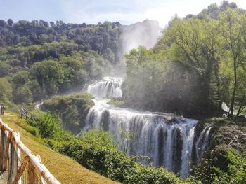 Scenic view of waterfall in forest