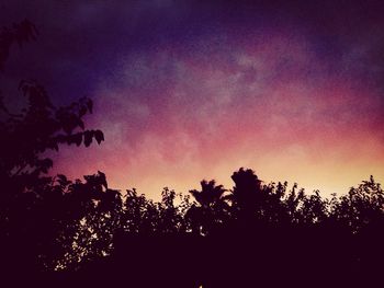 Low angle view of silhouette trees against sky at sunset