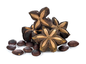 Close-up of cupcakes against white background