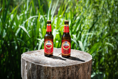 Close-up of red wine bottle on wooden table