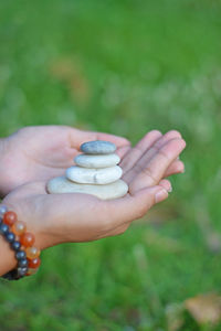 Close-up of hand holding small plant