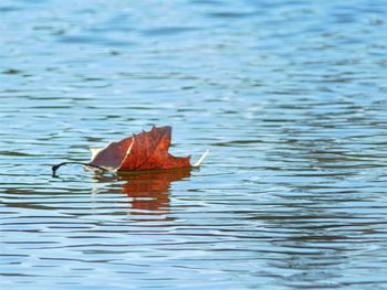 View of water in water