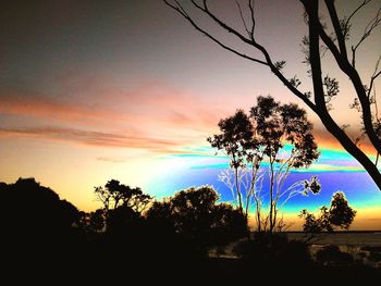 Silhouette of trees at sunset