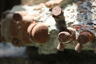 Close-up of rusty, sandy, engine parts.