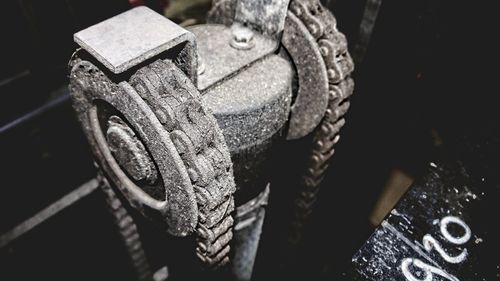 Close-up of dead plant