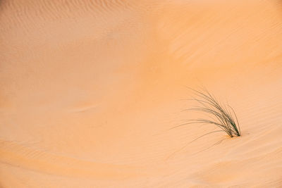 Full frame shot of sand