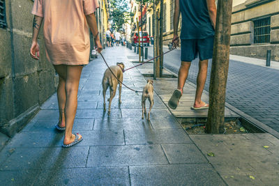 Low section of people walking on street