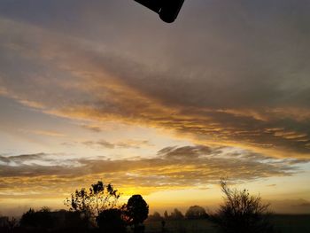 Low angle view of silhouette trees against sky during sunset