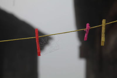 Close-up of clothes hanging on rope against wall