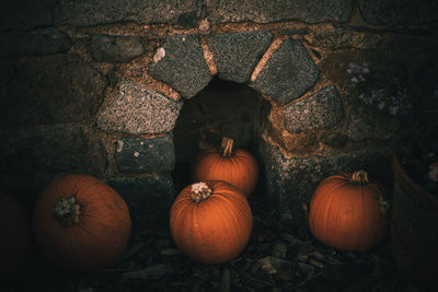 Close-up of pumpkins on wall