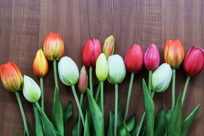 Close-up of tulips on table
