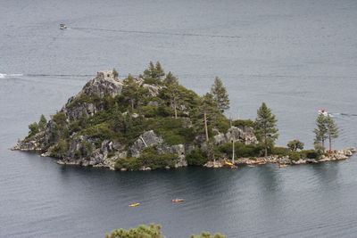 Scenic view of sea by trees