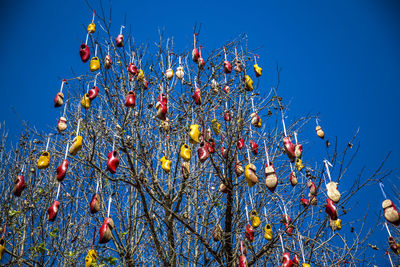 Low angle view of flowering plants against blue sky