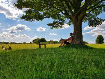 Man and horse on field against trees