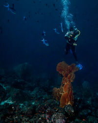 Man scuba diving in sea